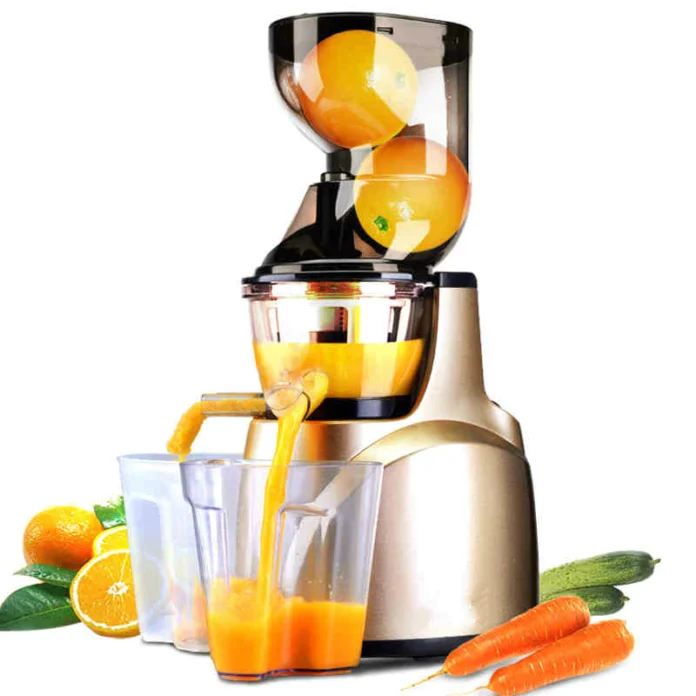 Angel Cold Press Juicer